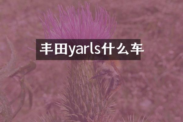 丰田yarls什么车