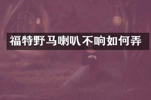 福特野马喇叭不响如何弄