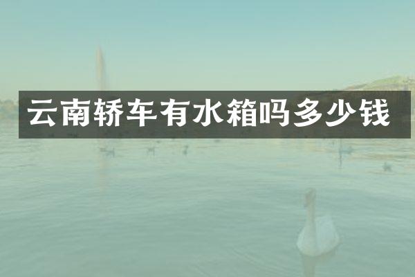 云南轿车有水箱吗多少钱