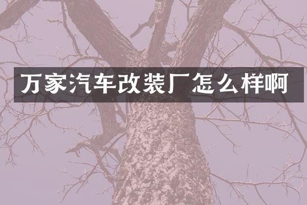 万家汽车改装厂怎么样啊