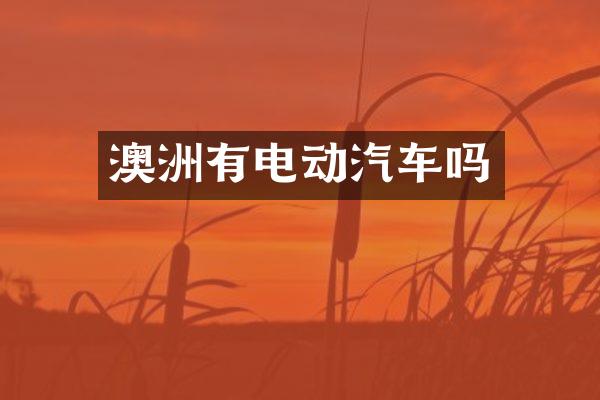 澳洲有电动汽车吗