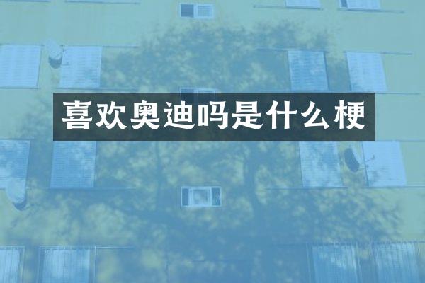 喜欢奥迪吗是什么梗