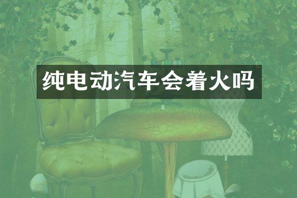 纯电动汽车会着火吗