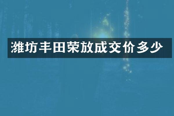 潍坊丰田荣放成交价多少