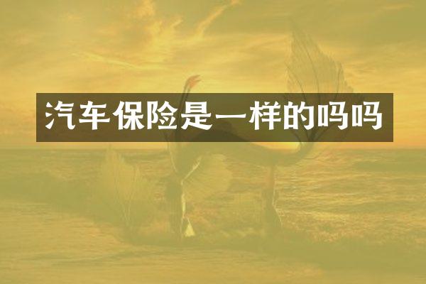 汽车保险是一样的吗吗