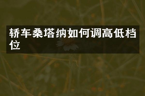 轿车桑塔纳如何调高低档位
