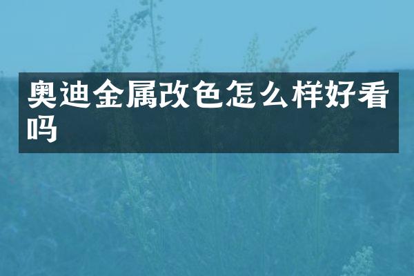 奥迪金属改色怎么样好看吗