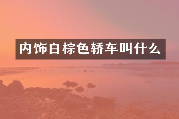 内饰白棕色轿车叫什么