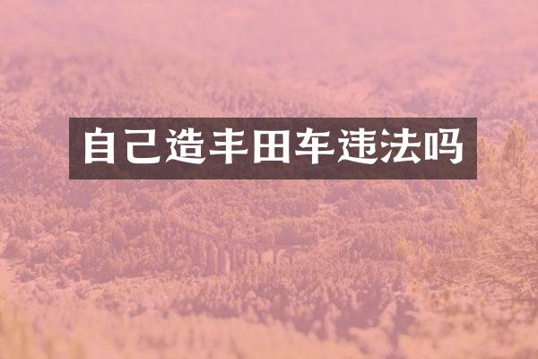 自己造丰田车违法吗