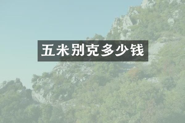 五米别克多少钱