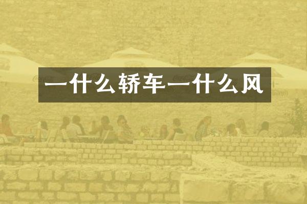 一什么轿车一什么风