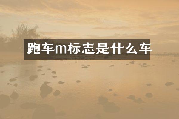 跑车m标志是什么车