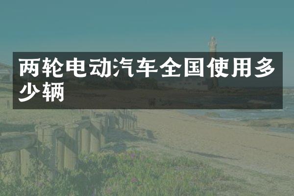 两轮电动汽车全国使用多少辆