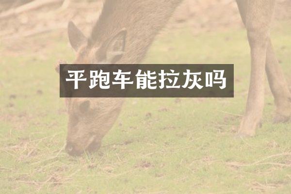 平跑车能拉灰吗