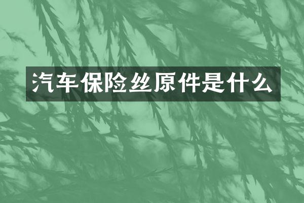 汽车保险丝原件是什么