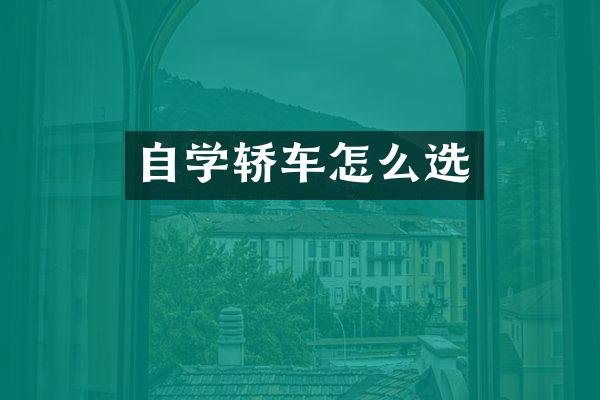 自学轿车怎么选