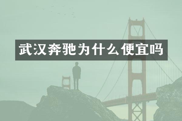 武汉奔驰为什么便宜吗