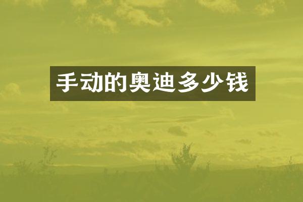 手动的奥迪多少钱
