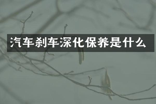 汽车刹车深化保养是什么