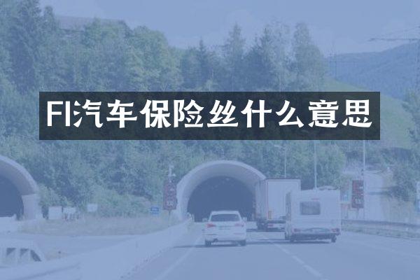 FI汽车保险丝什么意思
