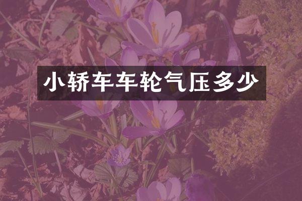 小轿车车轮气压多少