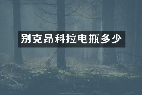 别克昂科拉电瓶多少