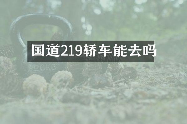 国道219轿车能去吗