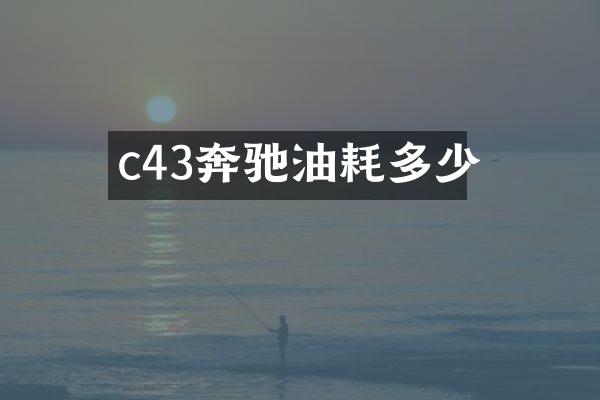 c43奔驰油耗多少