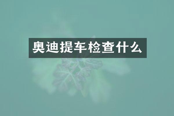 奥迪提车检查什么