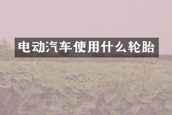 电动汽车使用什么轮胎