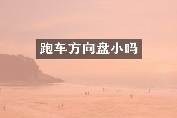 跑车方向盘小吗