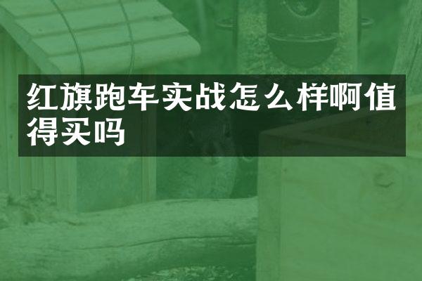 红旗跑车实战怎么样啊值得买吗