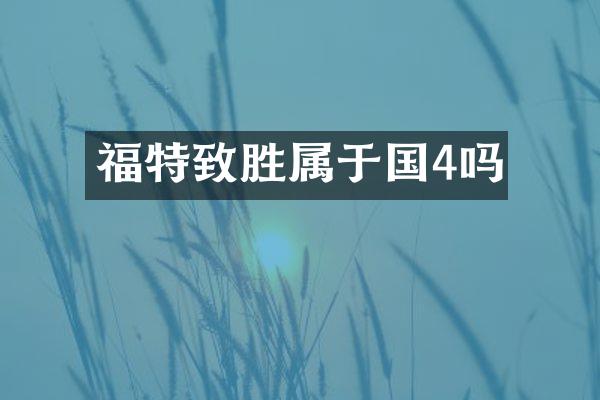 福特致胜属于国4吗