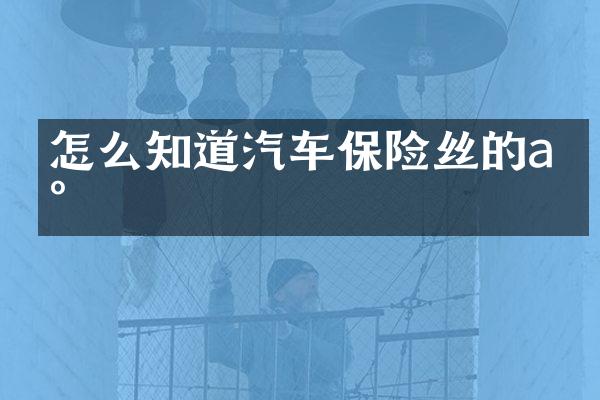 怎么知道汽车保险丝的a数