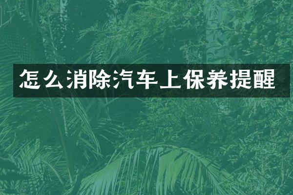 怎么消除汽车上保养提醒