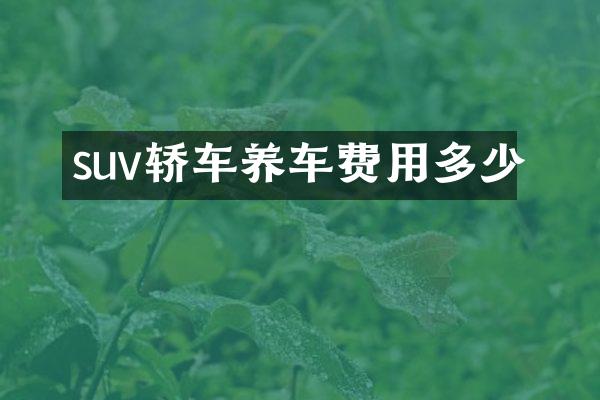 suv轿车养车费用多少