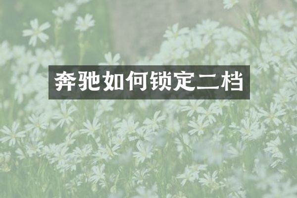 奔驰如何锁定二档