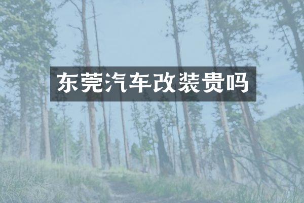 东莞汽车改装贵吗