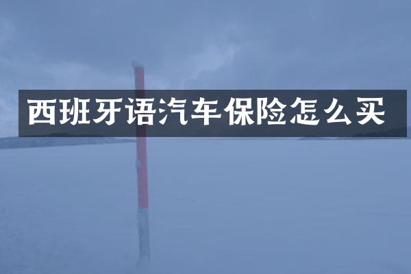 西班牙语汽车保险怎么买