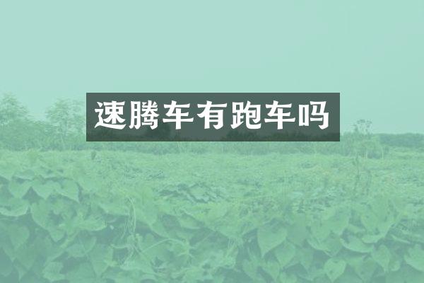 速腾车有跑车吗