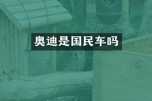 奥迪是国民车吗