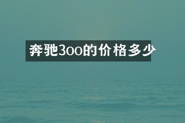 奔驰3oo的价格多少
