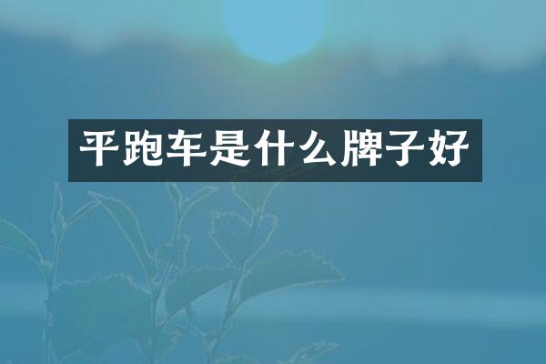 平跑车是什么牌子好
