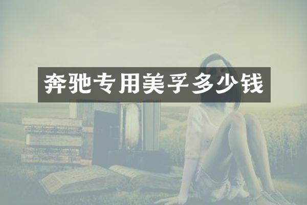 奔驰专用多少钱