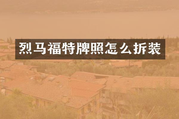 烈马福特牌照怎么拆装