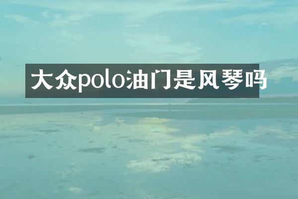 大众polo油门是风琴吗