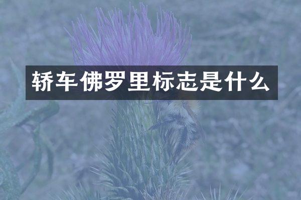 轿车佛罗里标志是什么