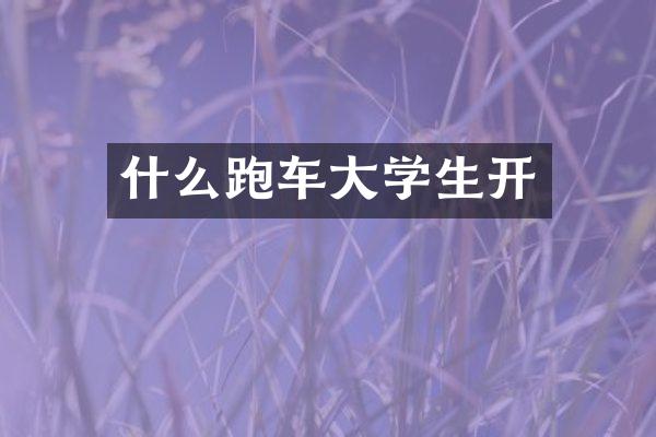 什么跑车大学生开