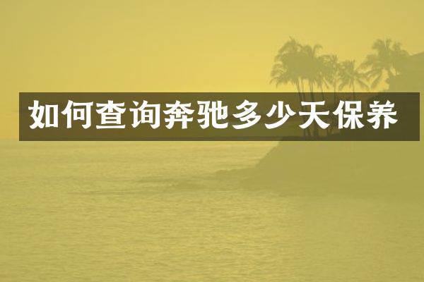 如何查询奔驰多少天保养