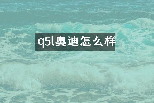 q5l奥迪怎么样